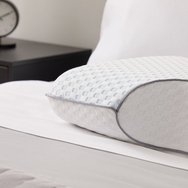 BAMBOO CHARCOAL PILLOW + COOLING COVER